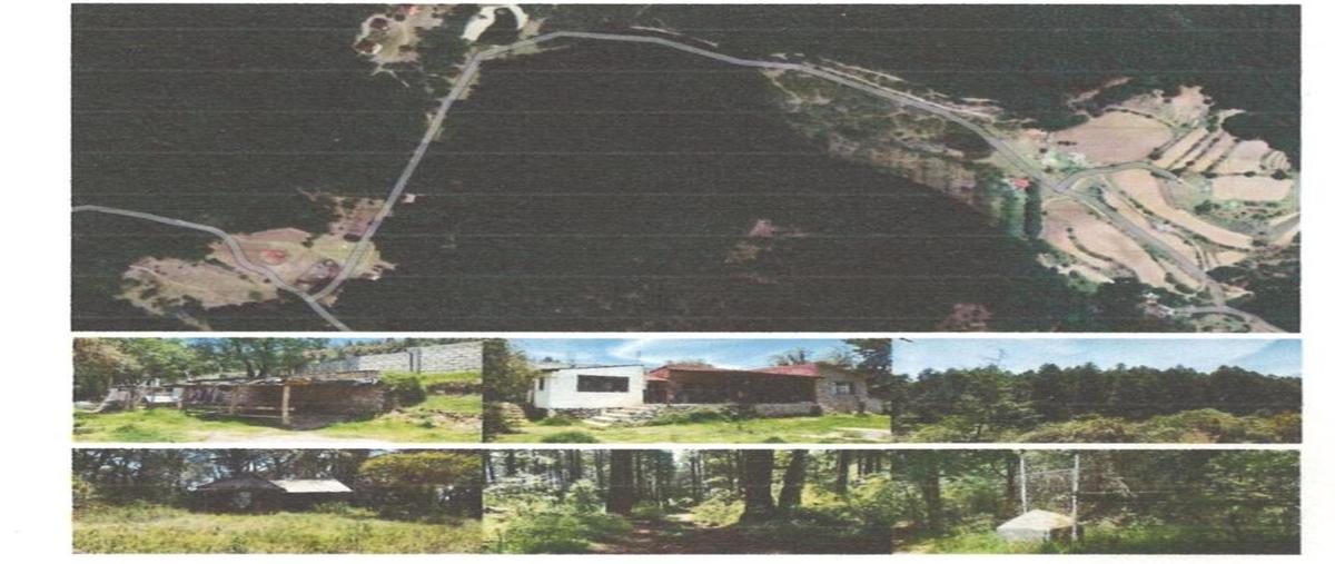 Foto de terreno habitacional en mineral del chico , lo de sánchez, mineral del chico, hidalgo, 0 foto 04 Foto de terreno habitacional en venta en mineral del chico , lo de sánchez, mineral del chico, hidalgo, 0 No. 04