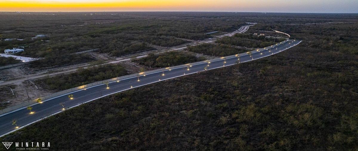 Foto de terreno habitacional en venta en mintara , conkal, conkal, yucatán, 24826861 No. 03