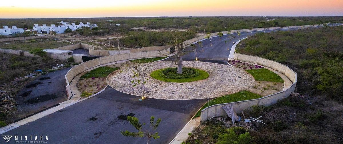 Foto de terreno habitacional en venta en mintara , conkal, conkal, yucatán, 24826861 No. 04