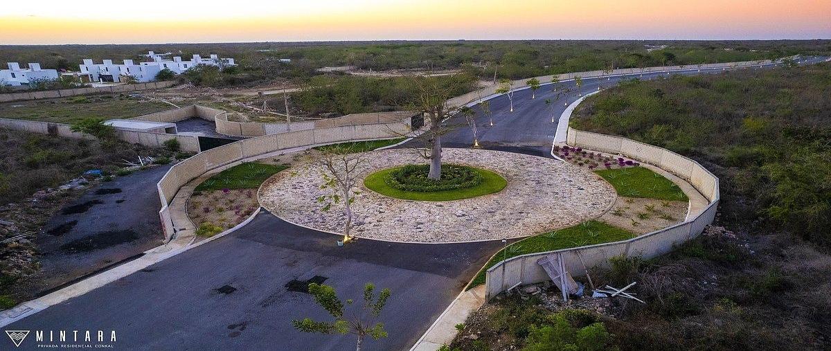 Foto de terreno habitacional en venta en mintara , conkal, conkal, yucatán, 0 No. 05