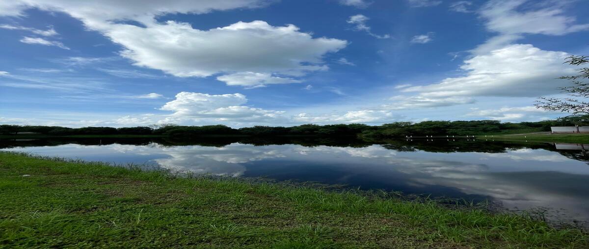 Foto de terreno habitacional en venta en mira sierra , congregación calles, montemorelos, nuevo león, 0 No. 03