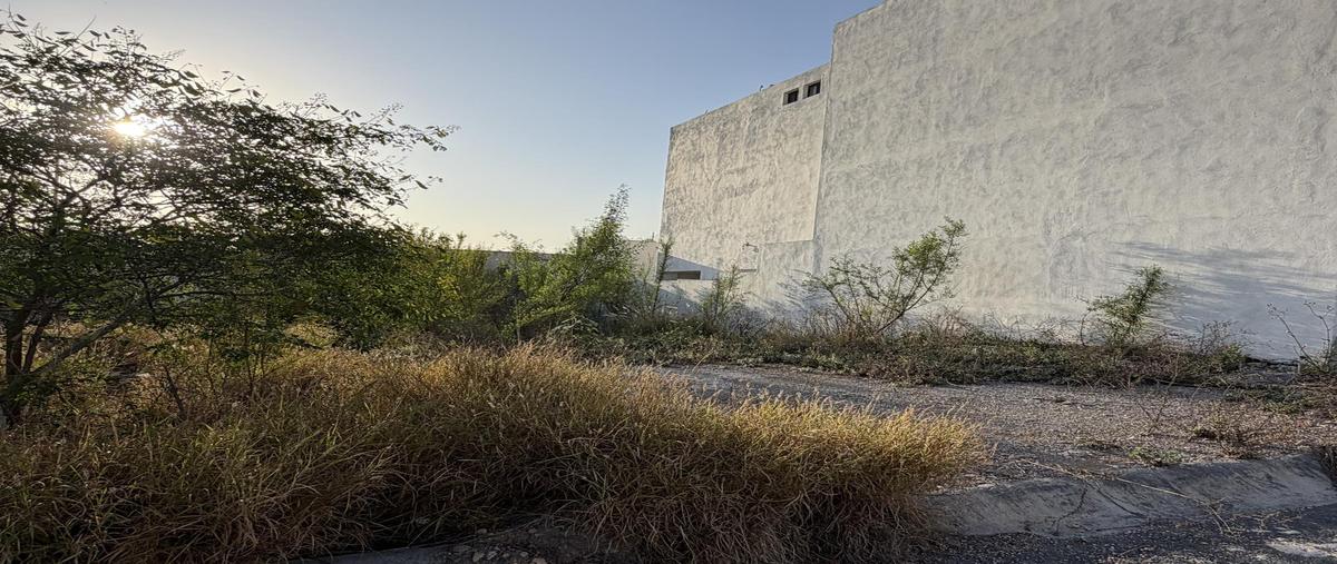 Foto de terreno habitacional en venta en  , mirador, garcía, nuevo león, 0 No. 03