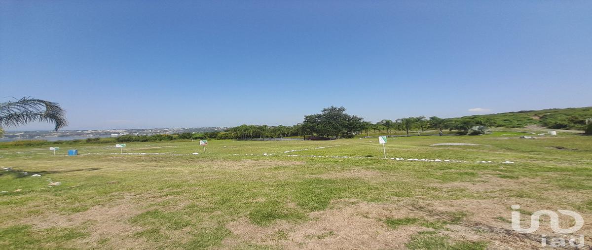 Foto de terreno habitacional en venta en mirador letras monumentales teques , tequesquitengo, jojutla, morelos, 29791710 No. 04