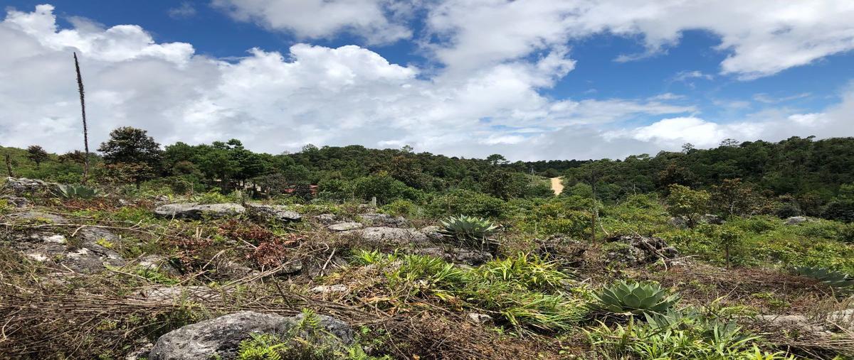 Foto de terreno habitacional en venta en  , mirador santuario, san cristóbal de las casas, chiapas, 16808639 No. 04