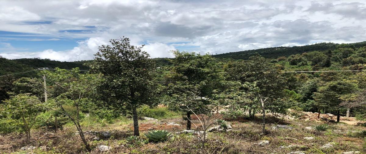 Foto de terreno habitacional en venta en  , mirador santuario, san cristóbal de las casas, chiapas, 16808639 No. 05