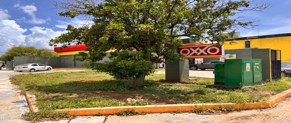 Foto de terreno habitacional en renta en  , miraflores ii, mérida, yucatán, 31600751 No. 03