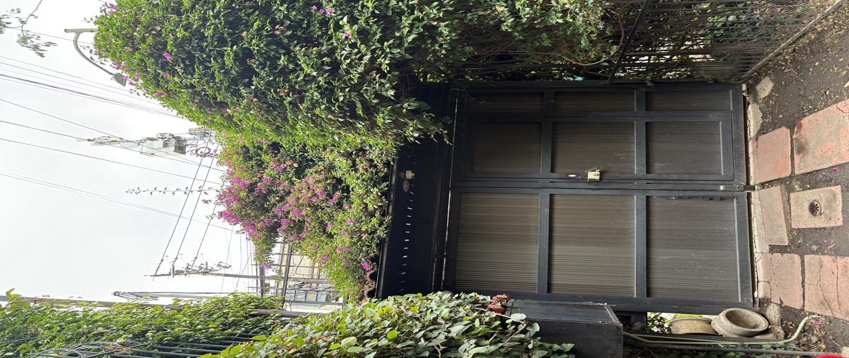 Foto de casa en miraflores , insurgentes san borja, benito juárez, df / cdmx, 30524690 foto 05 Foto de casa en venta en miraflores , insurgentes san borja, benito juárez, df / cdmx, 30524690 No. 05