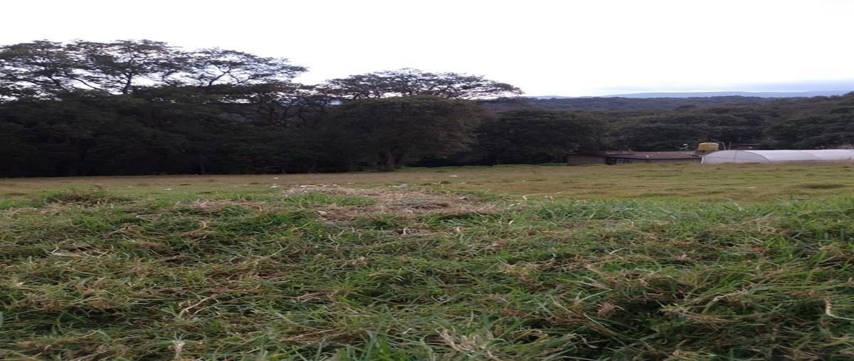 Foto de terreno habitacional en venta en  , miraflores, isidro fabela, méxico, 0 No. 04