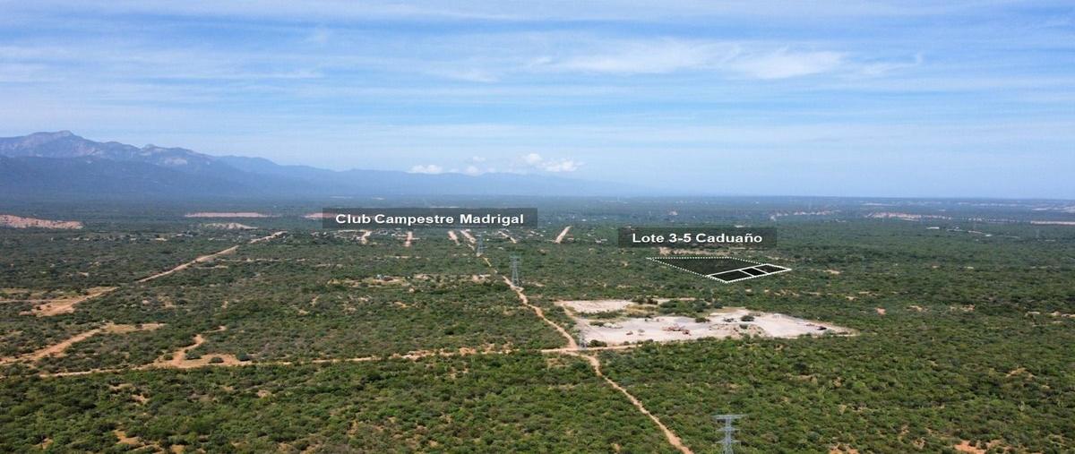 Foto de terreno habitacional en venta en  , miraflores, los cabos, baja california sur, 0 No. 04