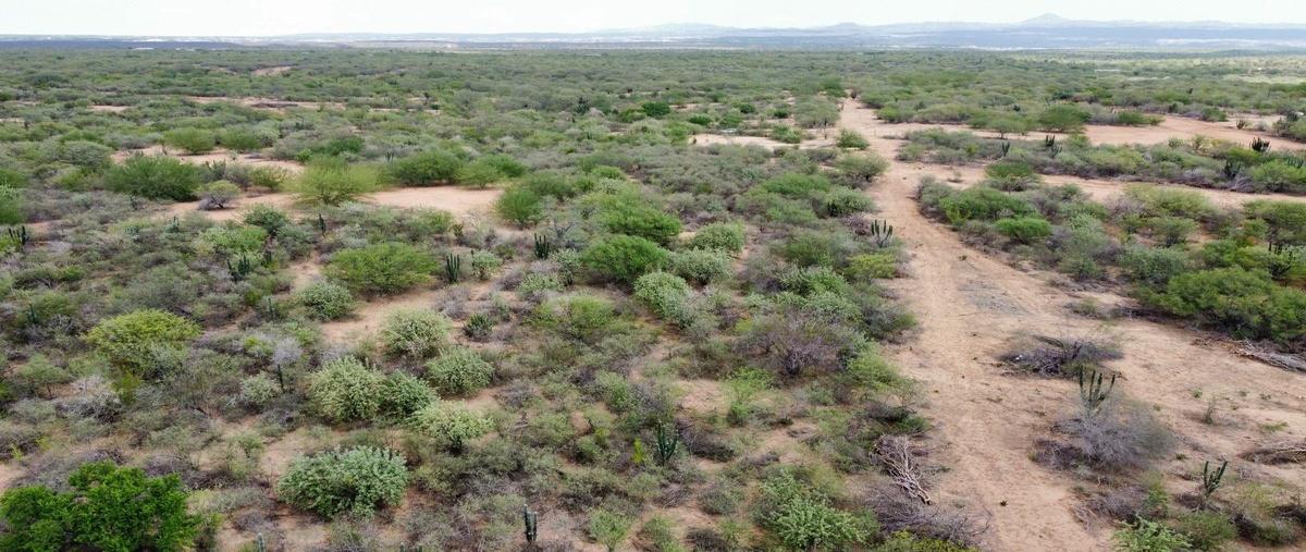 Foto de terreno habitacional en venta en  , miraflores, los cabos, baja california sur, 0 No. 05