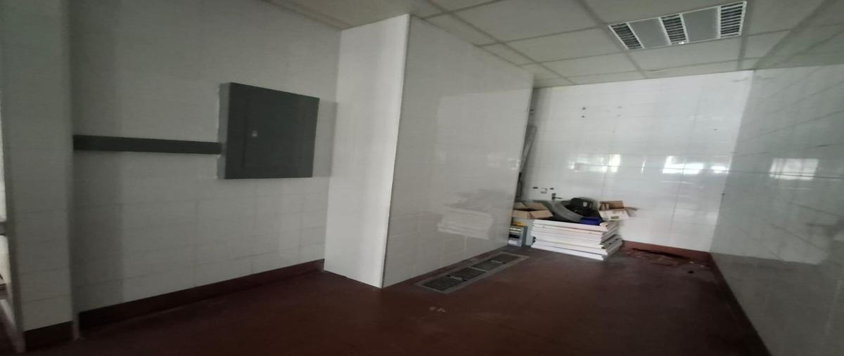Foto de local en renta en  , miraflores, tlaxcala, tlaxcala, 0 No. 05
