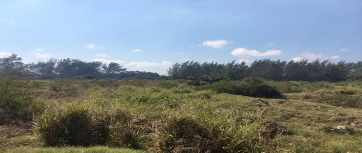 Foto de terreno habitacional en venta en  , miramapolis, ciudad madero, tamaulipas, 0 No. 05