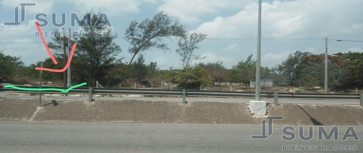 Foto de terreno habitacional en venta en  , miramapolis, ciudad madero, tamaulipas, 27183956 No. 03