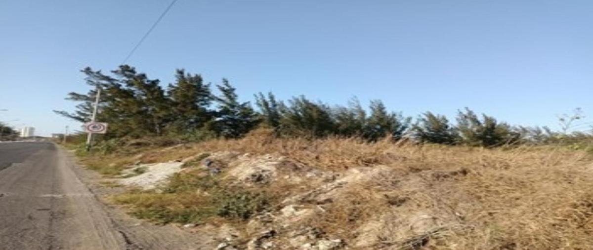 Foto de terreno habitacional en , miramapolis, ciudad madero, tamaulipas, 0 foto 05 Foto de terreno habitacional en venta en , miramapolis, ciudad madero, tamaulipas, 0 No. 05