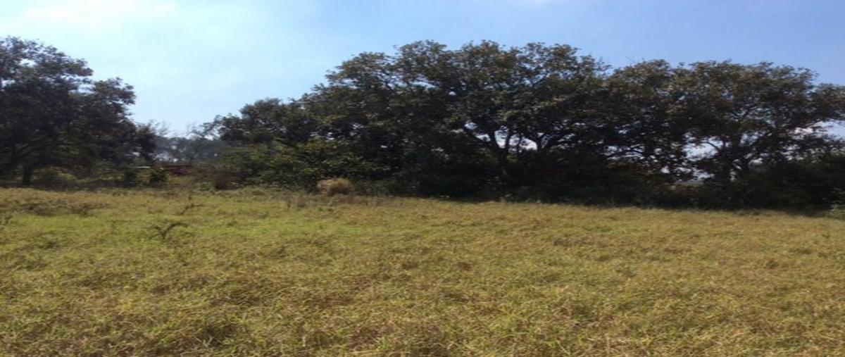 Foto de terreno habitacional en renta en  , miramapolis, ciudad madero, tamaulipas, 7209905 No. 03
