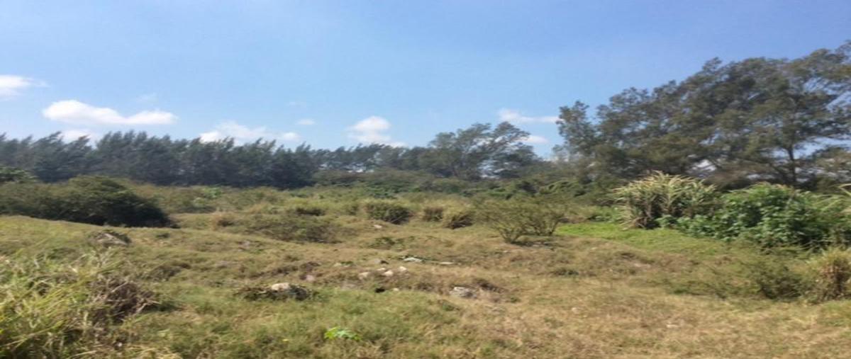Foto de terreno habitacional en renta en  , miramapolis, ciudad madero, tamaulipas, 7209905 No. 04