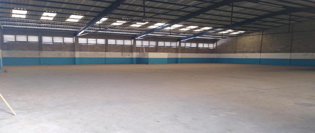 Foto de bodega en renta en  , miramar, altamira, tamaulipas, 0 No. 05