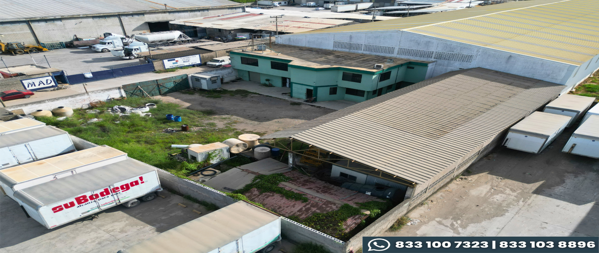 Foto de terreno comercial en venta en  , miramar, altamira, tamaulipas, 26949268 No. 05