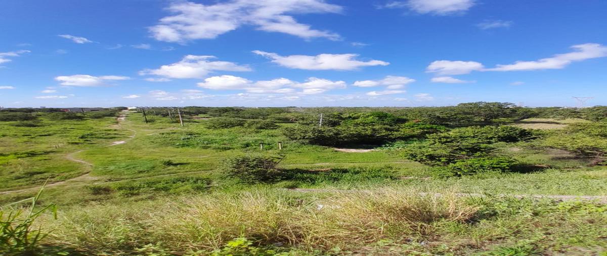 Foto de terreno habitacional en venta en  , miramar, altamira, tamaulipas, 0 No. 03