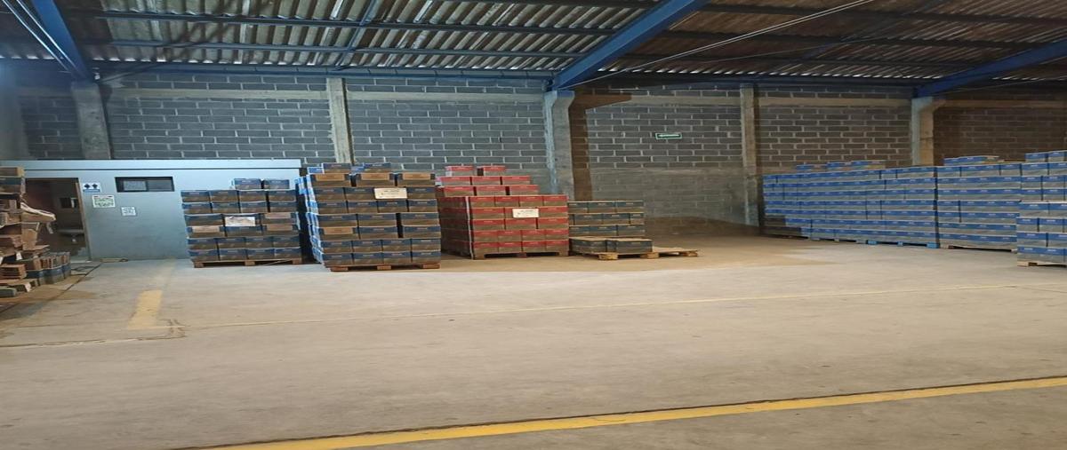 Foto de bodega en renta en  , miramar, altamira, tamaulipas, 0 No. 04
