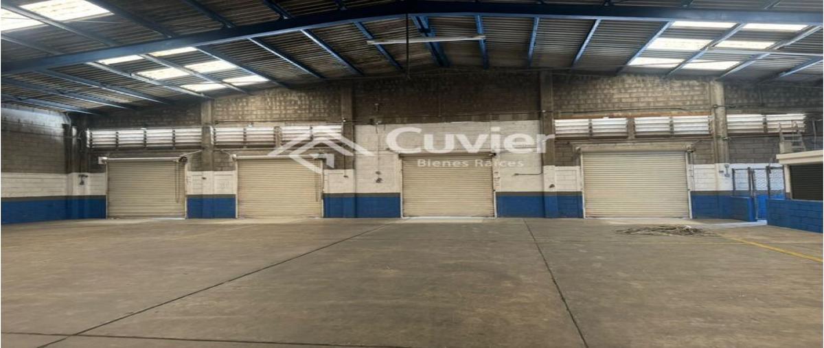 Foto de bodega en renta en  , miramar, altamira, tamaulipas, 28463411 No. 03