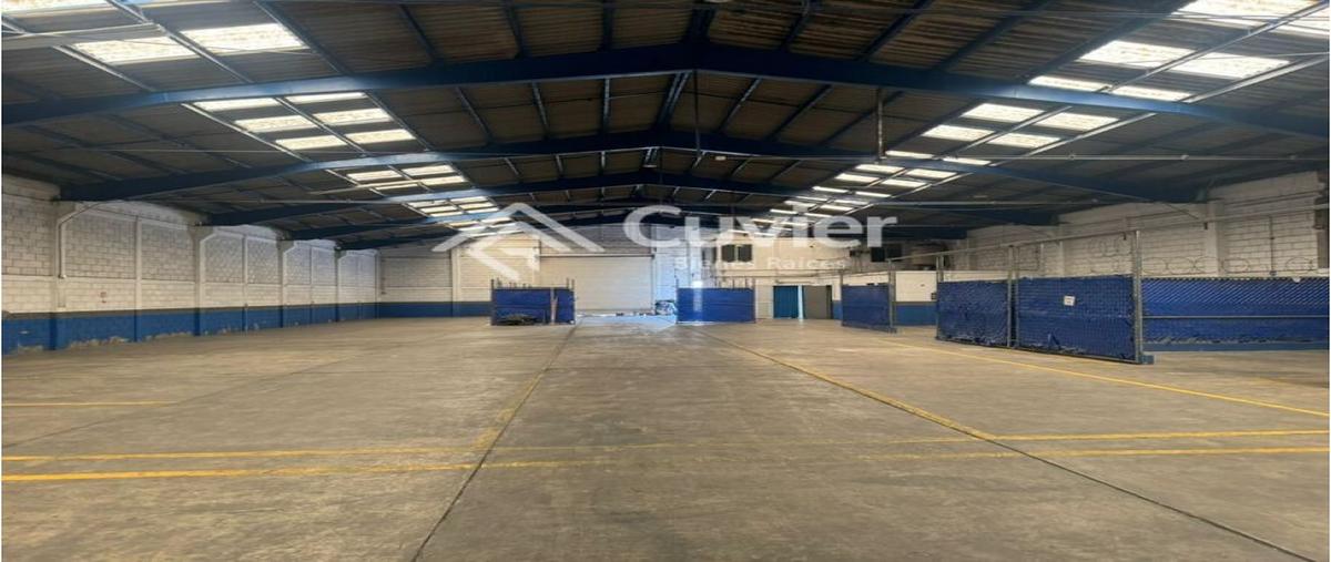 Foto de bodega en renta en  , miramar, altamira, tamaulipas, 28463411 No. 05