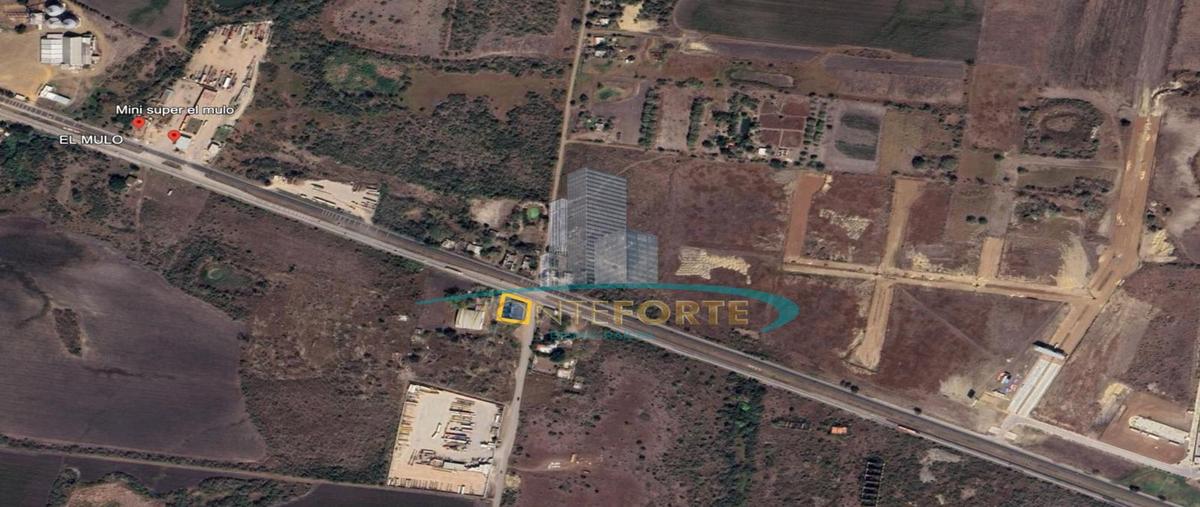 Foto de terreno habitacional en renta en  , miramar, altamira, tamaulipas, 28700796 No. 03