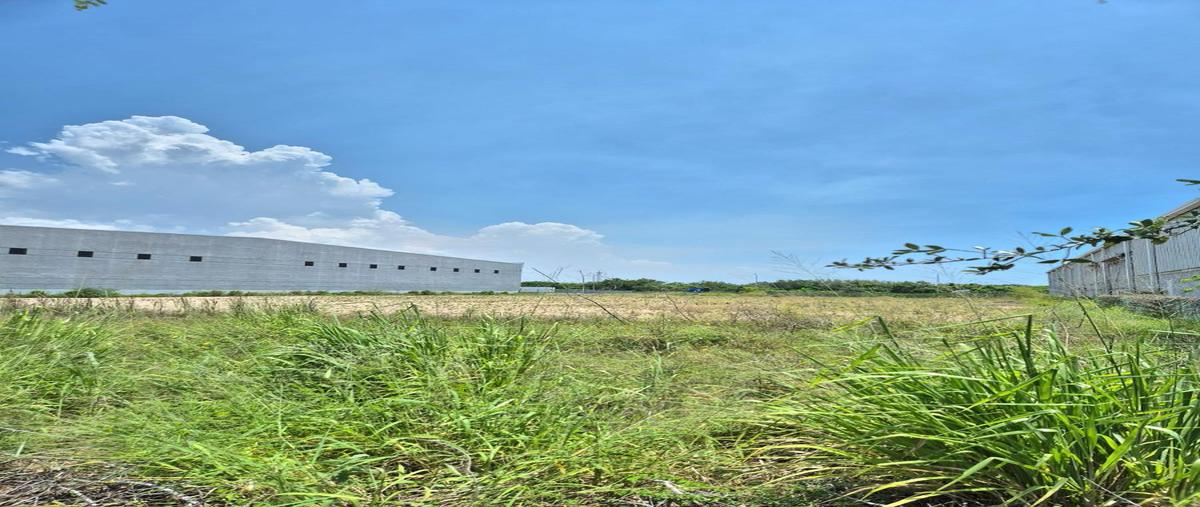 Foto de terreno habitacional en renta en  , miramar, altamira, tamaulipas, 0 No. 03