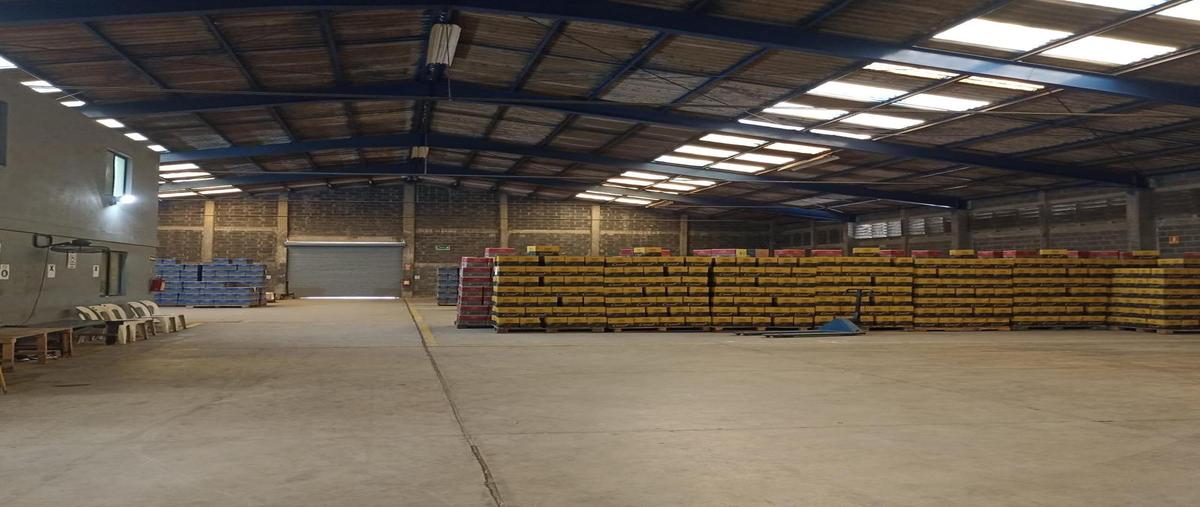 Foto de bodega en , miramar, altamira, tamaulipas, 0 foto 03 Foto de bodega en renta en , miramar, altamira, tamaulipas, 0 No. 03