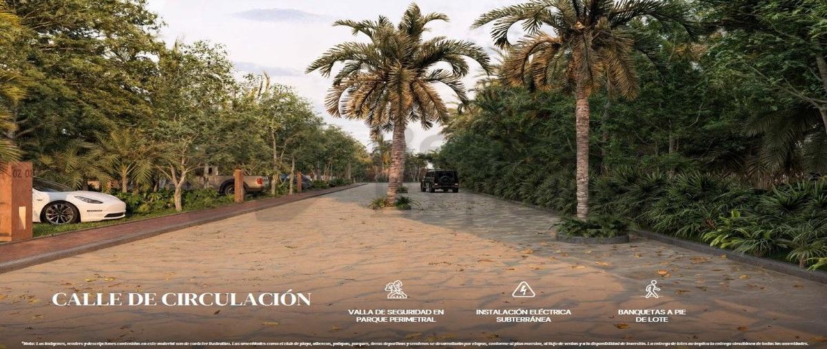 Foto de terreno habitacional en venta en  , miramar, centla, tabasco, 0 No. 03