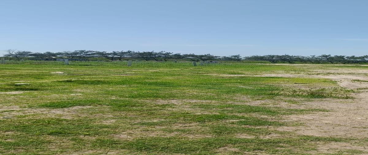 Foto de terreno habitacional en venta en  , miramar, ciudad madero, tamaulipas, 0 No. 03