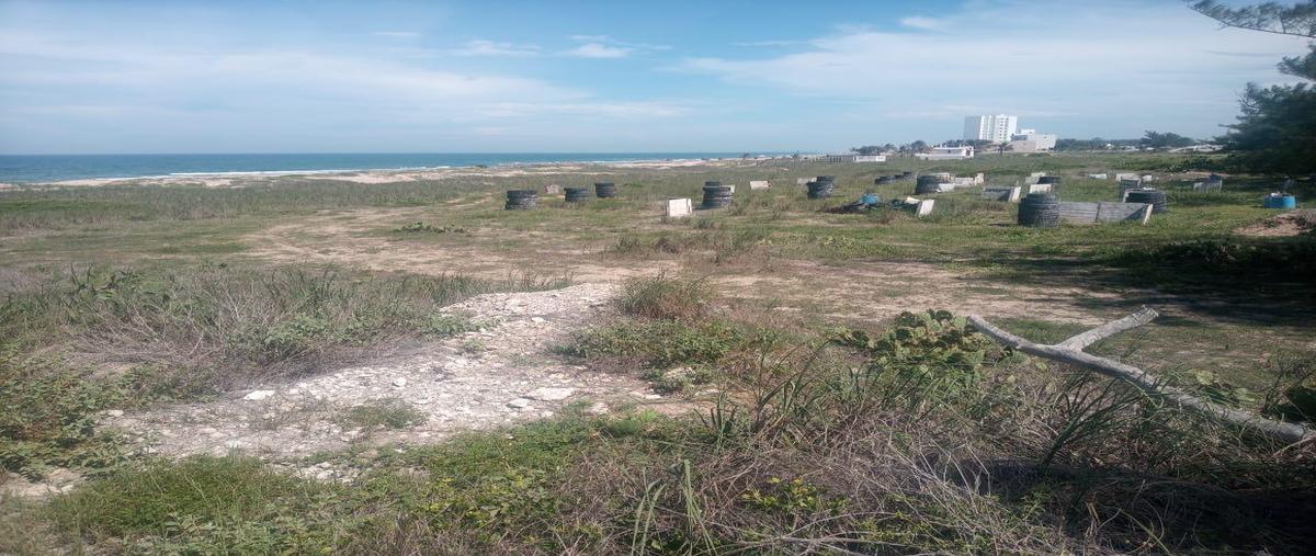 Foto de terreno habitacional en venta en  , miramar, ciudad madero, tamaulipas, 30302186 No. 05