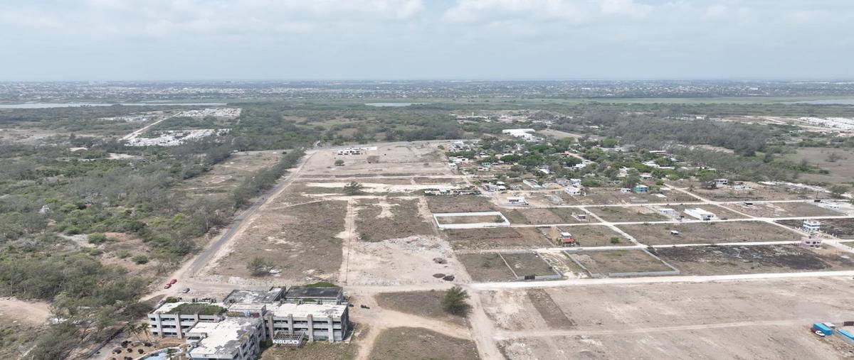 Foto de terreno habitacional en venta en  , miramar, ciudad madero, tamaulipas, 0 No. 04