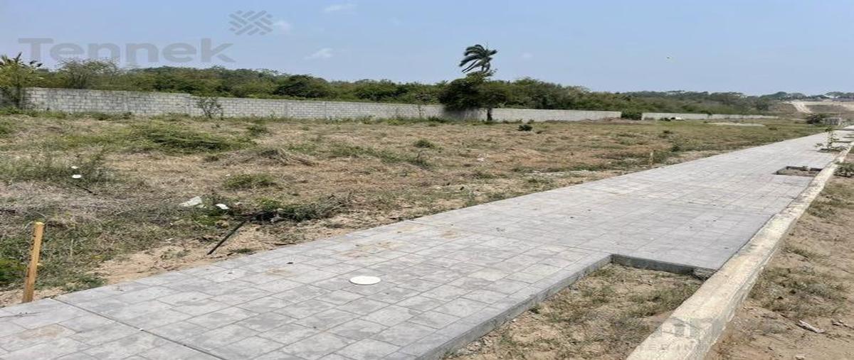 Foto de terreno habitacional en venta en  , miramar, tampico alto, veracruz de ignacio de la llave, 30211530 No. 03