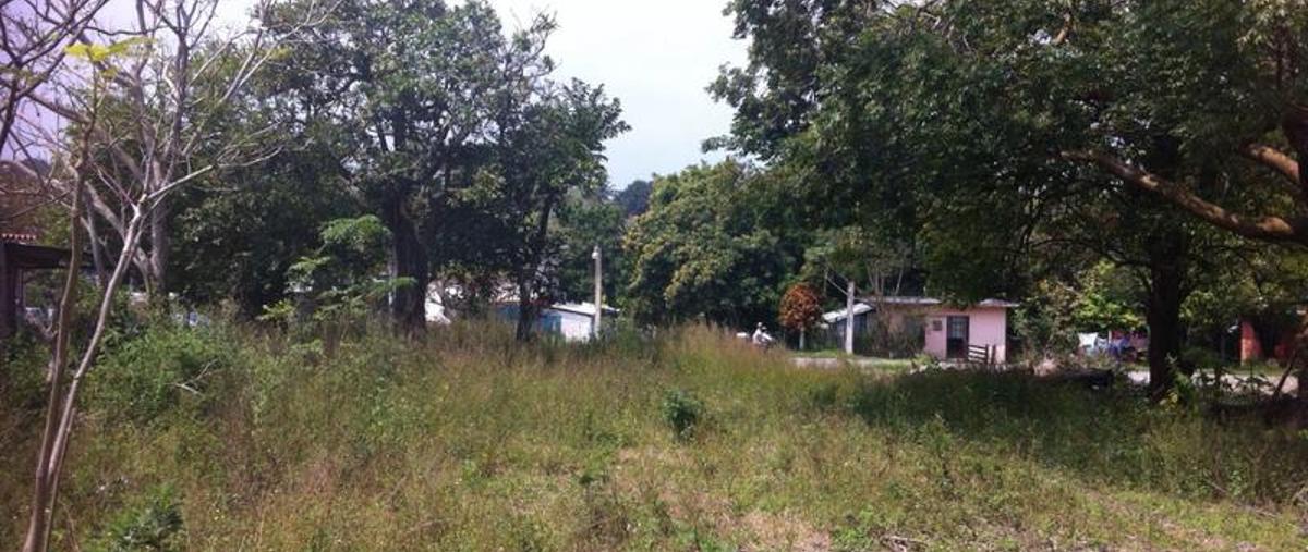 Foto de terreno habitacional en venta en  , miramar, tampico alto, veracruz de ignacio de la llave, 0 No. 02