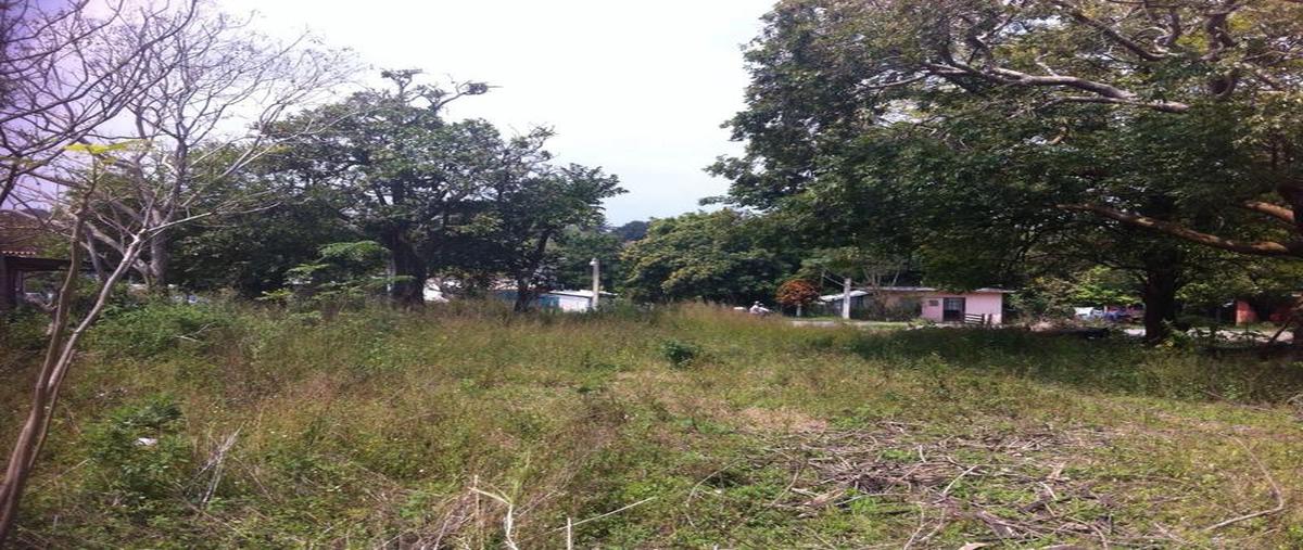 Foto de terreno habitacional en venta en  , miramar, tampico alto, veracruz de ignacio de la llave, 7248155 No. 02