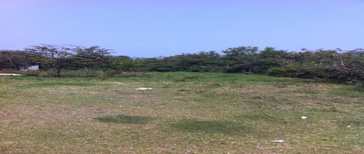 Foto de terreno habitacional en venta en  , miramar, tampico alto, veracruz de ignacio de la llave, 7248155 No. 03