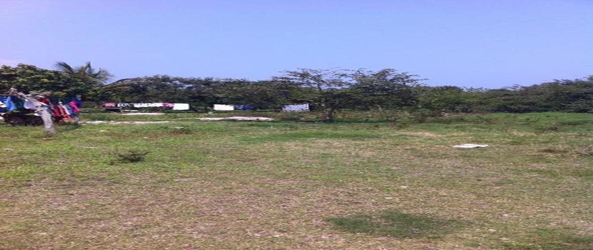 Foto de terreno habitacional en venta en  , miramar, tampico alto, veracruz de ignacio de la llave, 7248155 No. 04
