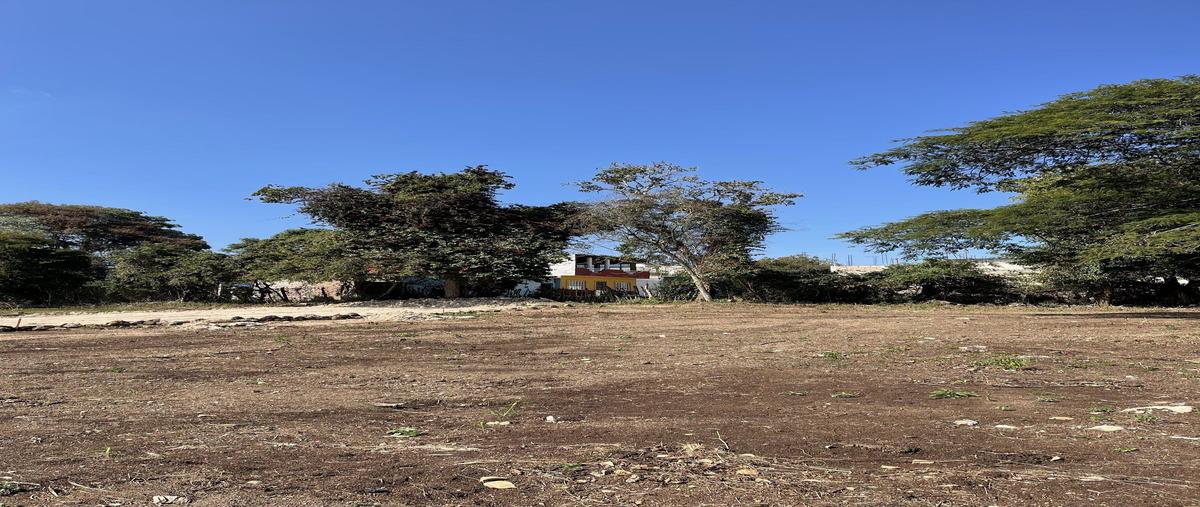 Foto de terreno habitacional en venta en  , miravalle, berriozábal, chiapas, 0 No. 03