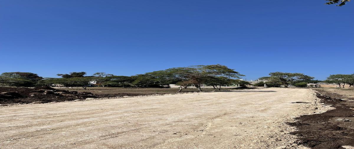 Foto de terreno habitacional en venta en  , miravalle, berriozábal, chiapas, 0 No. 04
