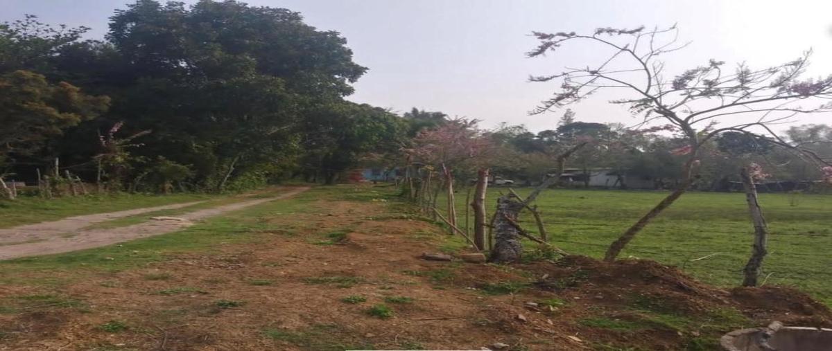 Foto de terreno habitacional en venta en  , misantla centro, misantla, veracruz de ignacio de la llave, 27068460 No. 05