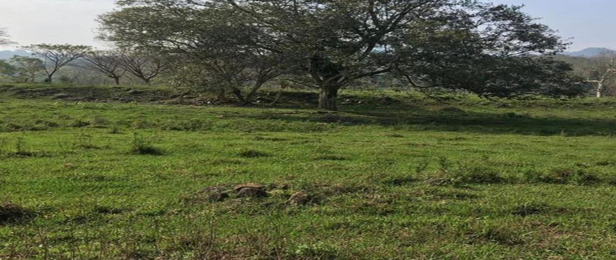 Foto de terreno habitacional en , misantla centro, misantla, veracruz de ignacio de la llave, 0 foto 01 Foto de terreno habitacional en venta en , misantla centro, misantla, veracruz de ignacio de la llave, 0 No. 01