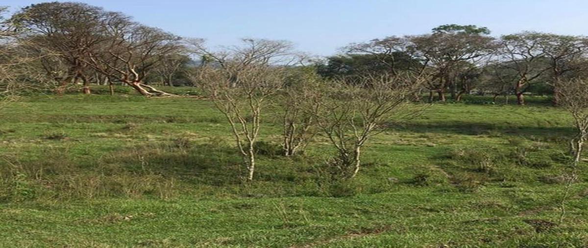 Foto de terreno habitacional en , misantla centro, misantla, veracruz de ignacio de la llave, 0 foto 03 Foto de terreno habitacional en venta en , misantla centro, misantla, veracruz de ignacio de la llave, 0 No. 03