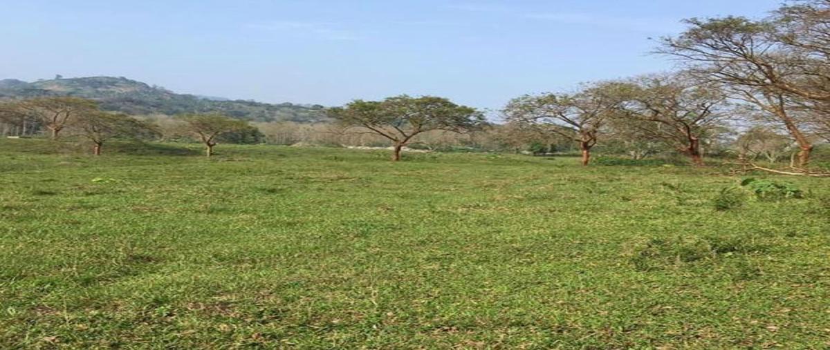 Foto de terreno habitacional en , misantla centro, misantla, veracruz de ignacio de la llave, 0 foto 05 Foto de terreno habitacional en venta en , misantla centro, misantla, veracruz de ignacio de la llave, 0 No. 05