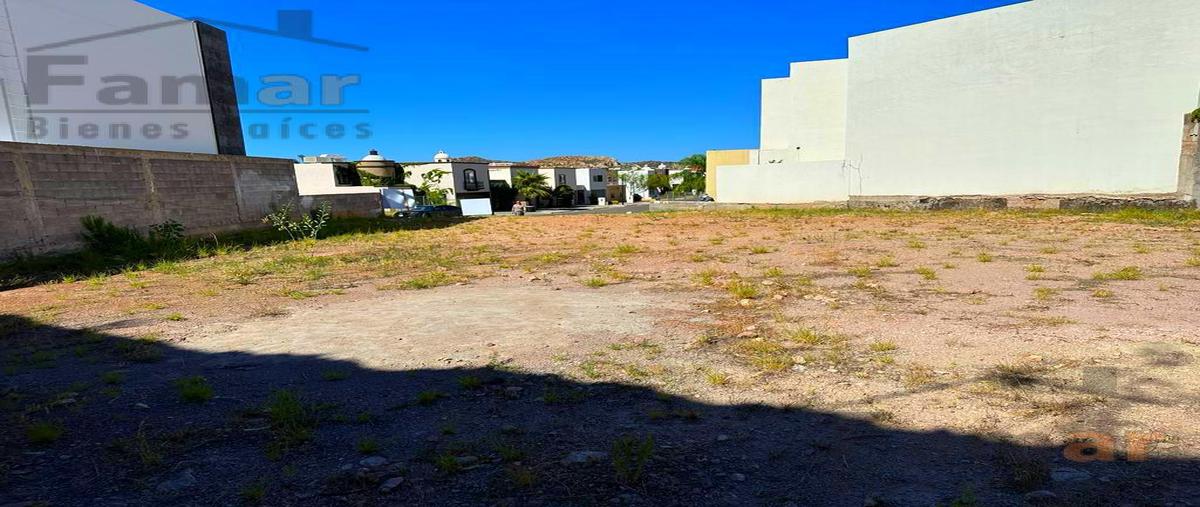 Foto de terreno habitacional en venta en  , misión del valle, chihuahua, chihuahua, 26691678 No. 05