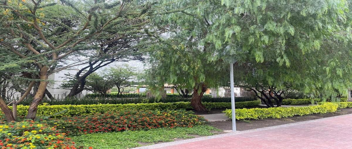 Foto de departamento en venta en mision querendaro , san pedrito peñuelas iii, querétaro, querétaro, 28287431 No. 05