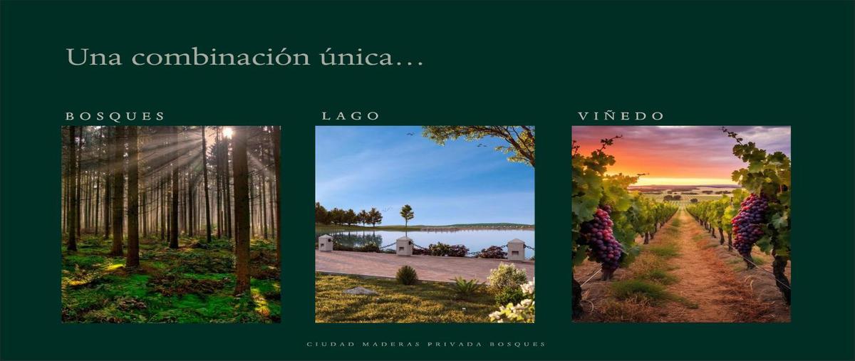 Foto de terreno habitacional en , misiones de corregidora, corregidora, querétaro, 0 foto 04 Foto de terreno habitacional en venta en , misiones de corregidora, corregidora, querétaro, 0 No. 04