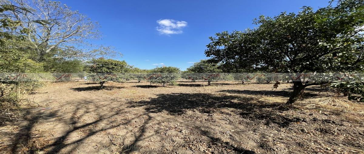 Foto de terreno comercial en , misiones de río verde, linares, nuevo león, 26961275 foto 04 Foto de terreno comercial en venta en , misiones de río verde, linares, nuevo león, 26961275 No. 04
