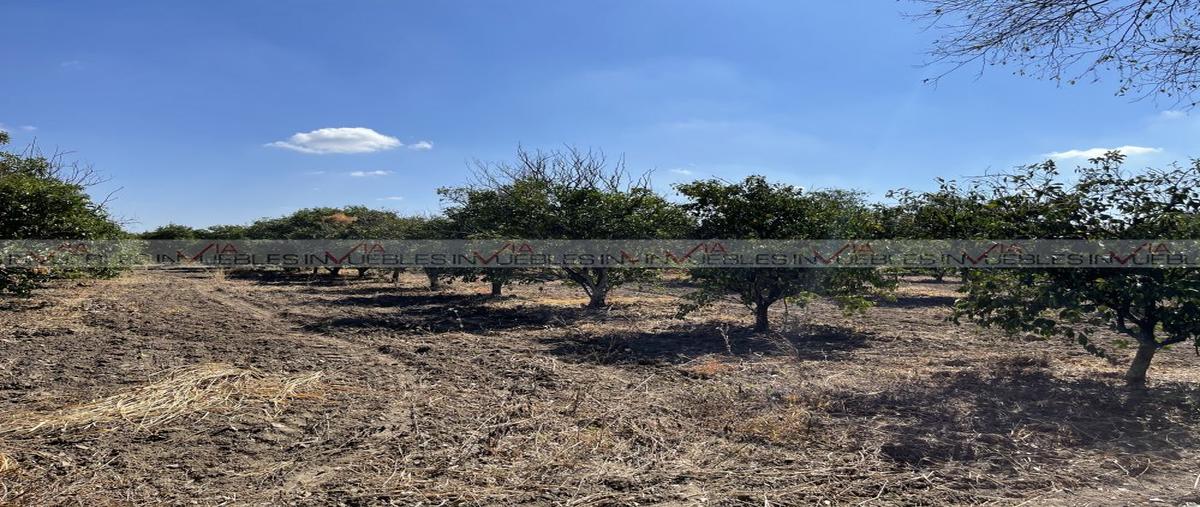 Foto de terreno comercial en , misiones de río verde, linares, nuevo león, 26961275 foto 05 Foto de terreno comercial en venta en , misiones de río verde, linares, nuevo león, 26961275 No. 05
