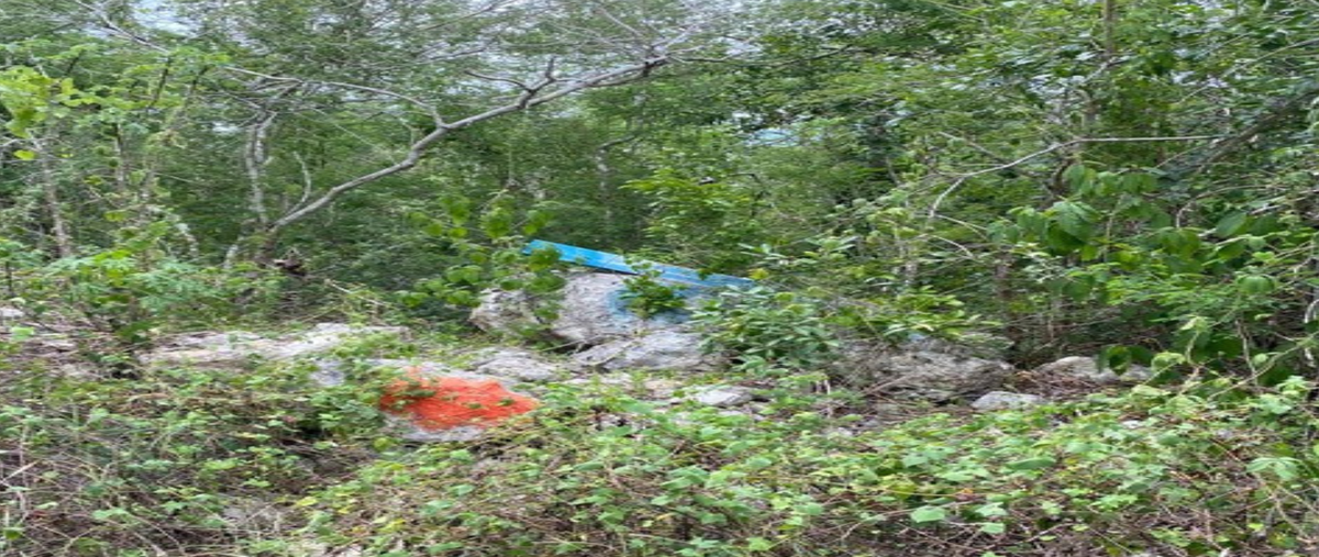 Foto de terreno habitacional en venta en misnébalam , misnebalam, progreso, yucatán, 29923120 No. 03